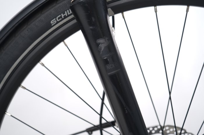 PEGASUS Premio Evo 10 Lite