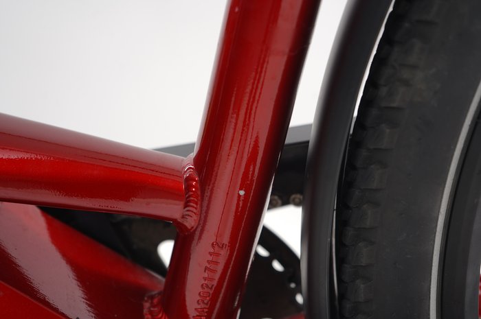 Pegasus Premio EVO 10 Lite