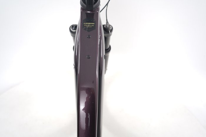 Bergamont E-Horizon Prem Expert