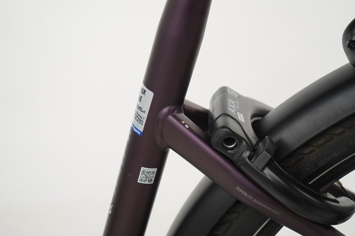 PEGASUS Premio 11