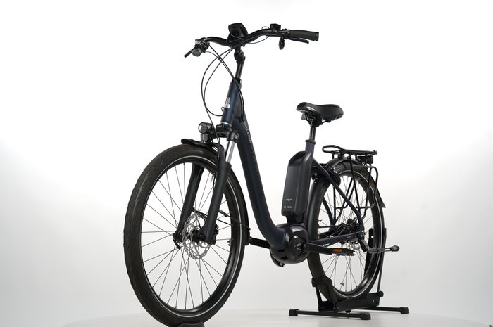 Raleigh Kingston 8