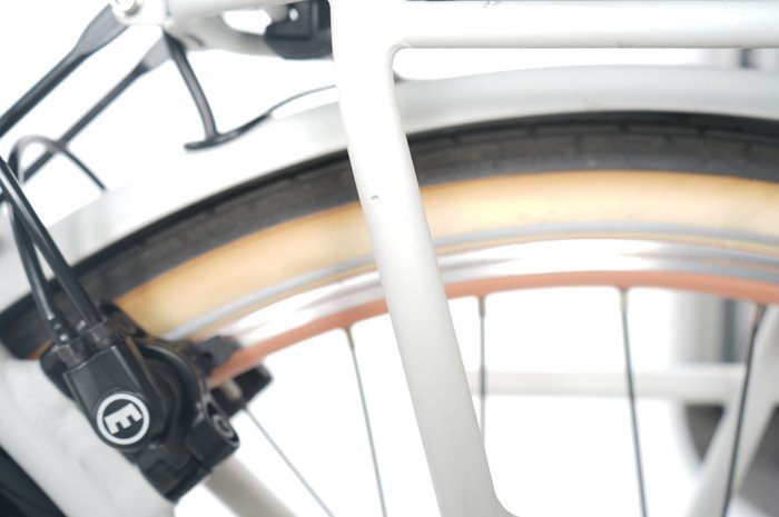 Gazelle Miss Grace C7+ HMB