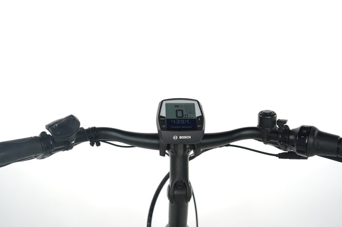 PEGASUS Premio EVO 5R Belt