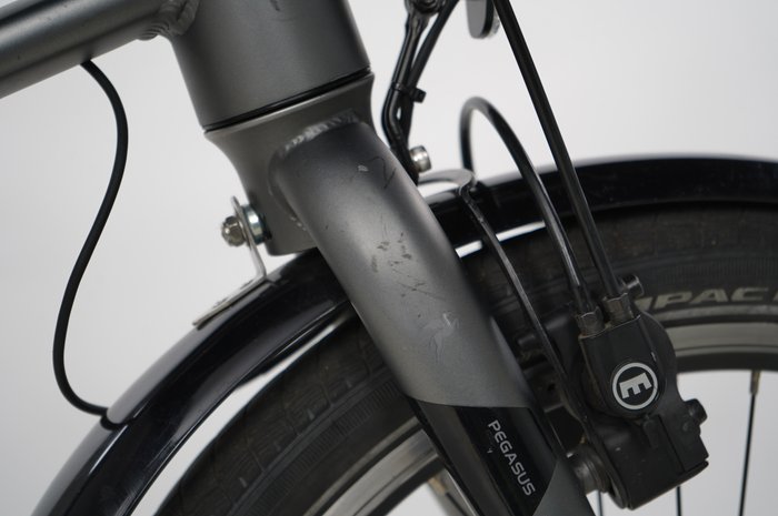 PEGASUS Swing E7R