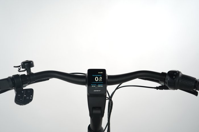 GIANT DailyTour E+ 1 LDS