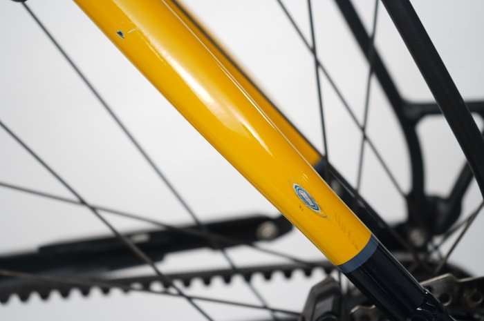 EBIKE Trekking Pro Wave