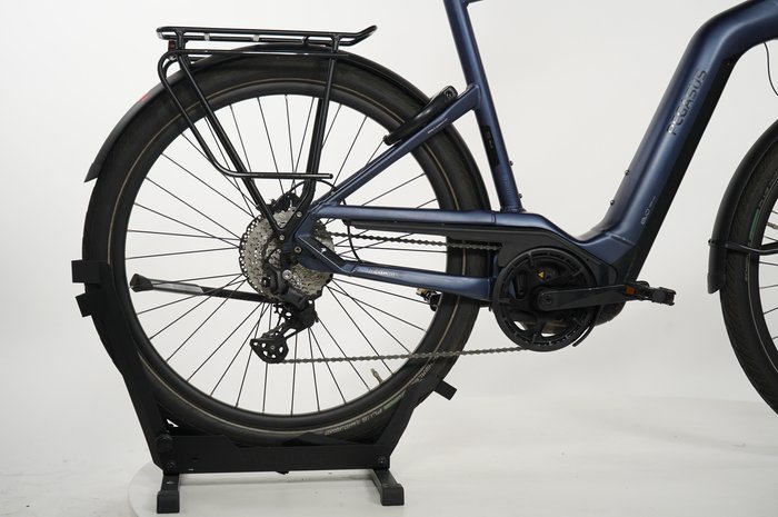 PEGASUS Strong Evo 10 Lite