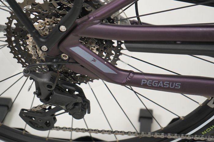 PEGASUS Premio 11