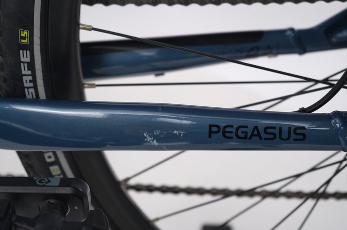 Pegasus Solero E8 Sport Performance