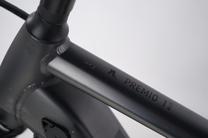 PEGASUS Premio Evo 10 Lite