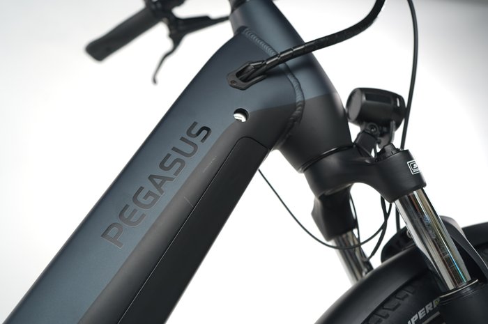 Pegasus Premio EVO 5R Belt