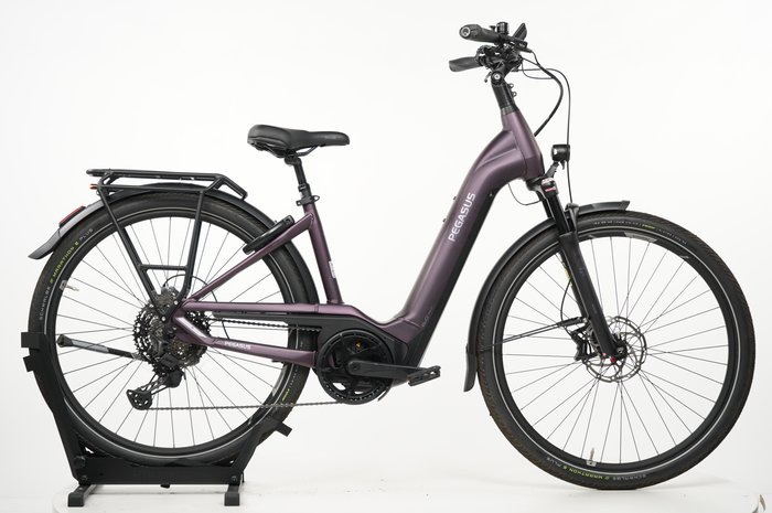 PEGASUS Premio Evo 11