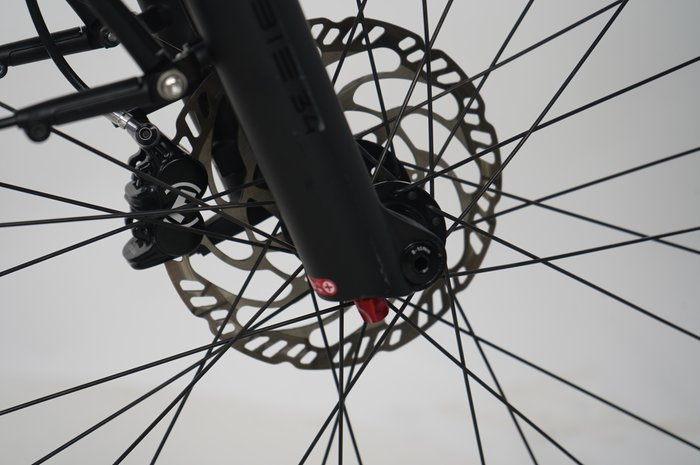 Riese & Müller Nevo4 GT vario