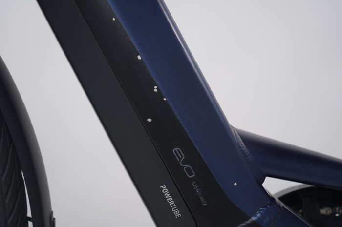 Pegasus Strong EVO 10 Lite