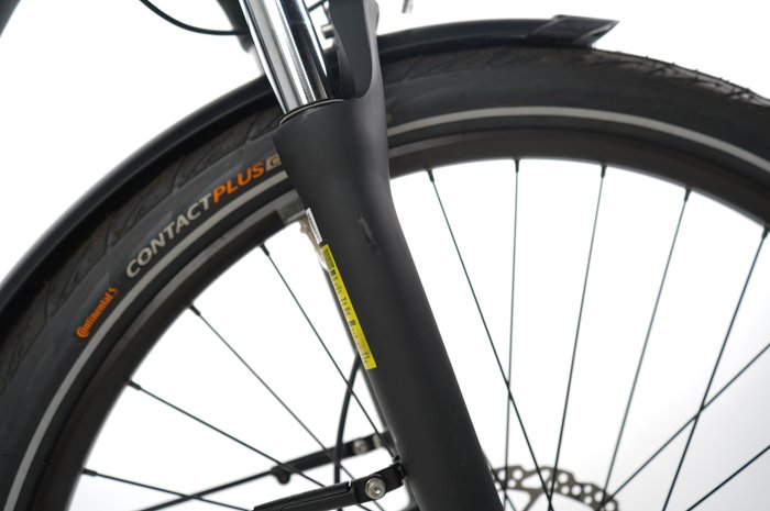 Raleigh Kingston 8