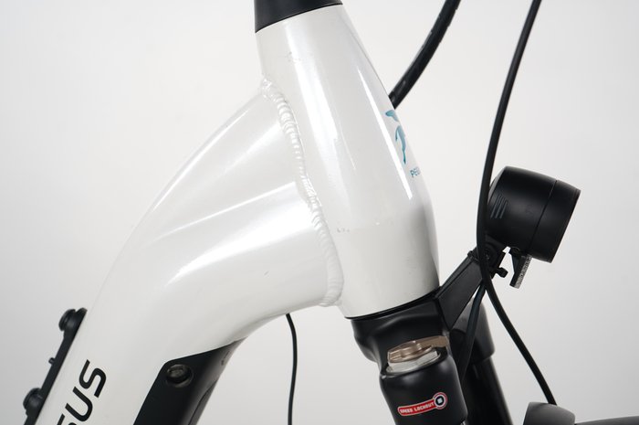 Pegasus Premio Evo 11