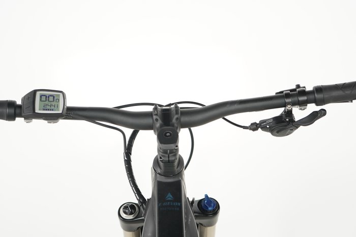 Bergamont E-Revox Pro FMN EQ