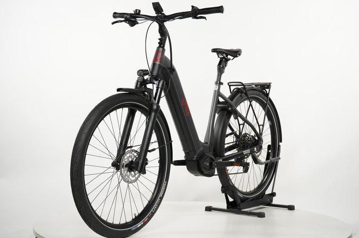 ADVANCED EBIKE Trekking Pro Wave