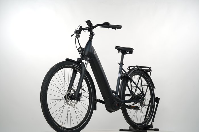 Pegasus Premio EVO 5R Belt