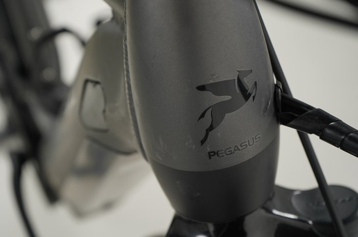 PEGASUS Premio EVO 5R Belt