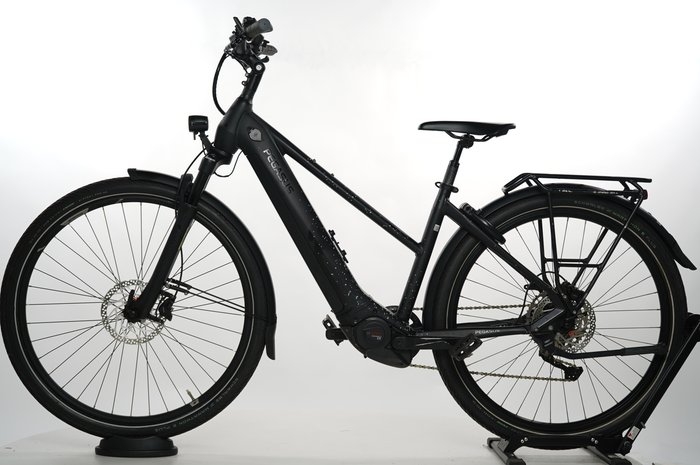 PEGASUS Premio EVO 10 Lite