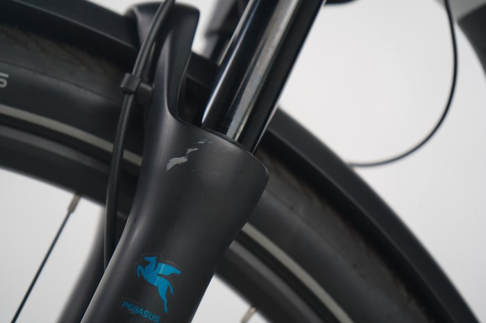 Pegasus Premio Evo 11