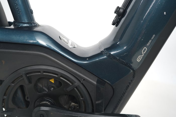 Pegasus Premio EVO 11 40 Years