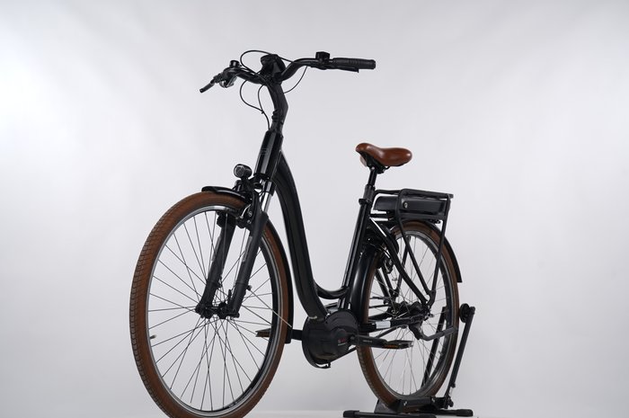 Riese & Müller Swing