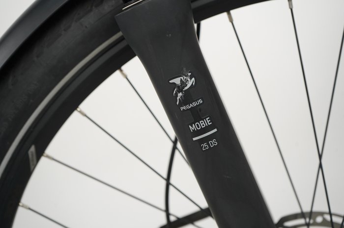 PEGASUS Premio EVO 11″40 Years"