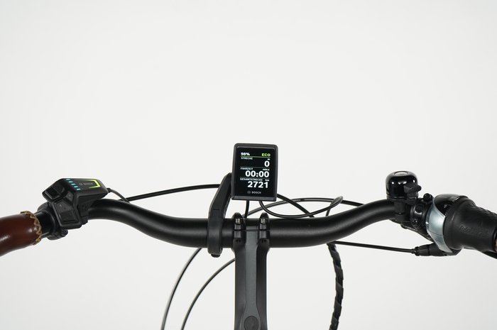 Riese & Müller Cruiser2 silent
