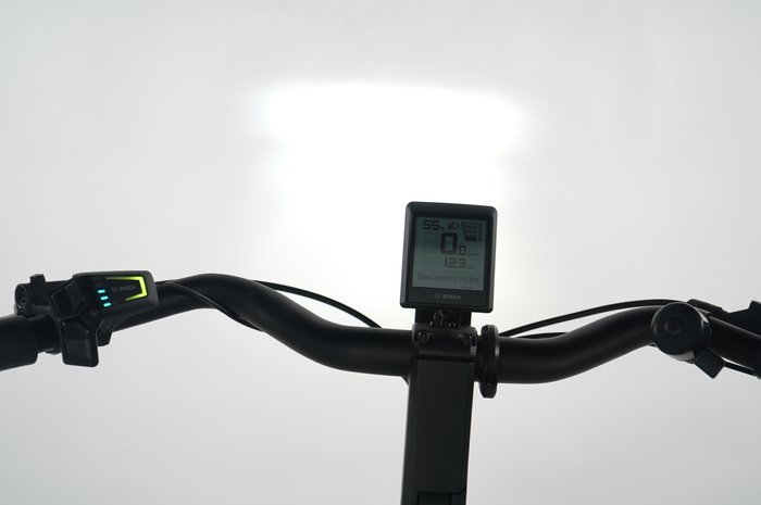 Bergamont Horizon SUV 20 Belt