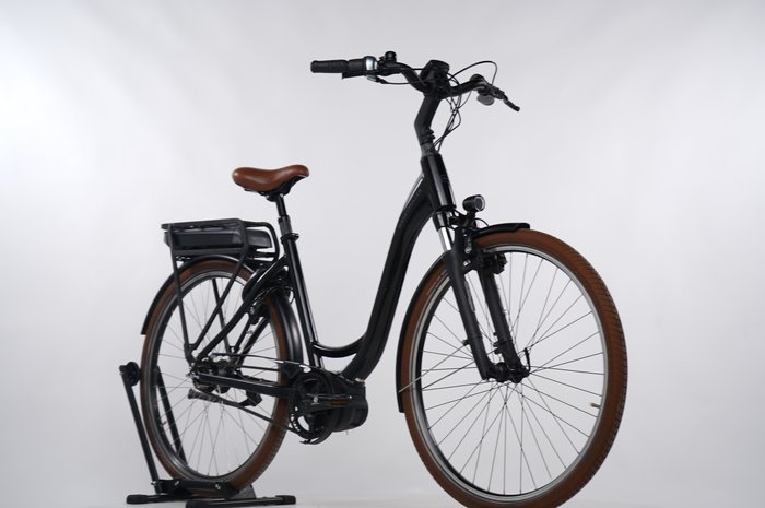 Riese & Müller Swing