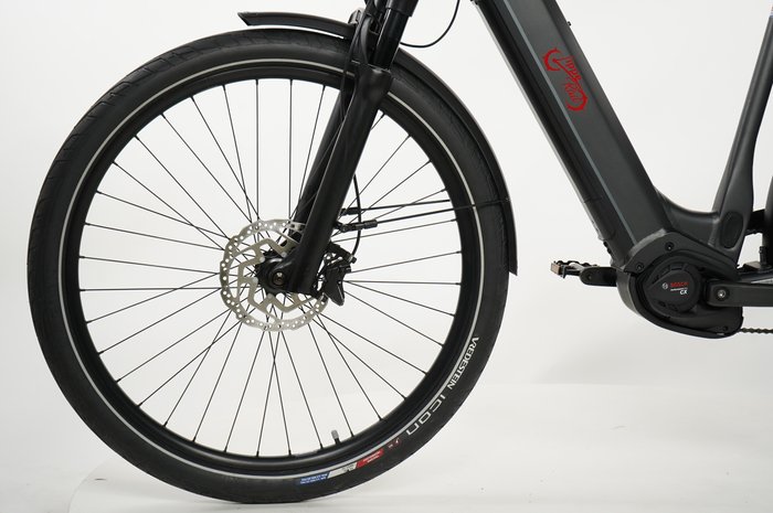 ADVANCED EBIKE Trekking Pro Wave