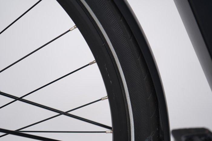 Pegasus Premio EVO 10 Lite