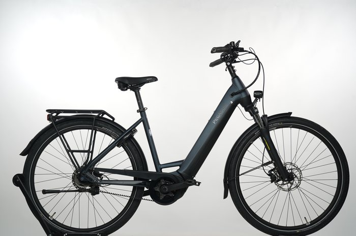 Pegasus Premio EVO 5R Belt