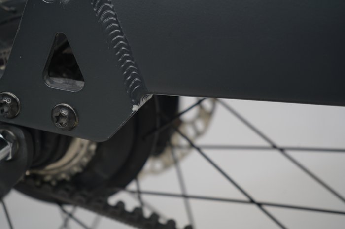 Riese & Müller Nevo 4 GT vario