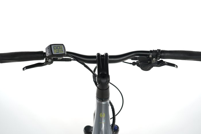 Winora Sinus iX10