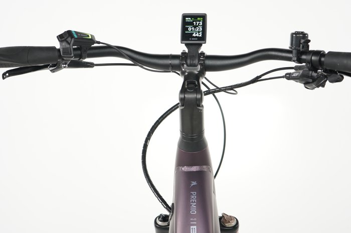 PEGASUS Premio Evo 11
