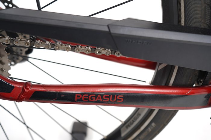 Pegasus Premio EVO 10 Lite