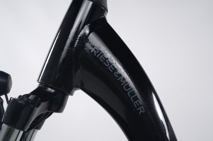 Riese & Müller Swing