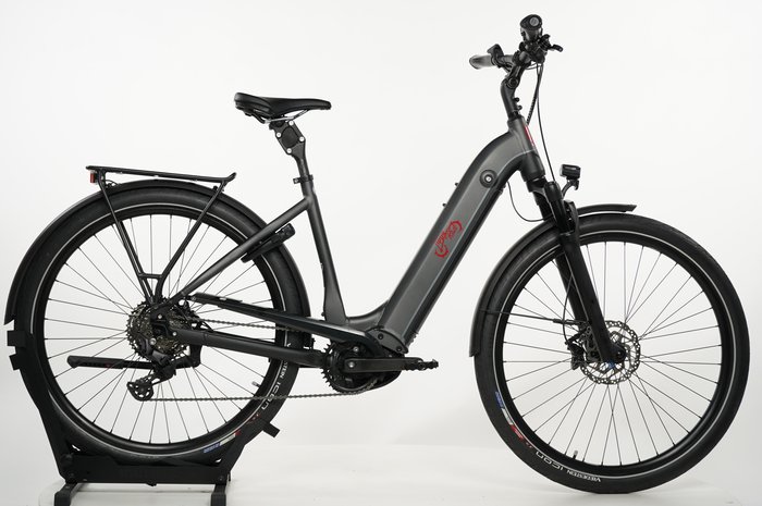 ADVANCED EBIKE Trekking Pro Wave