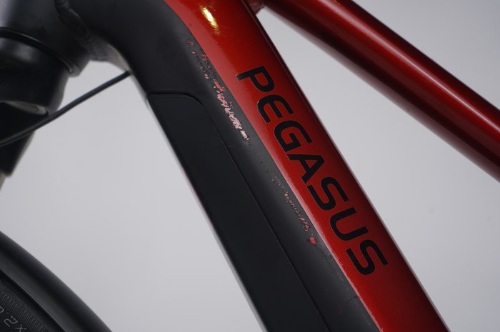 Pegasus Premio EVO 10 Lite