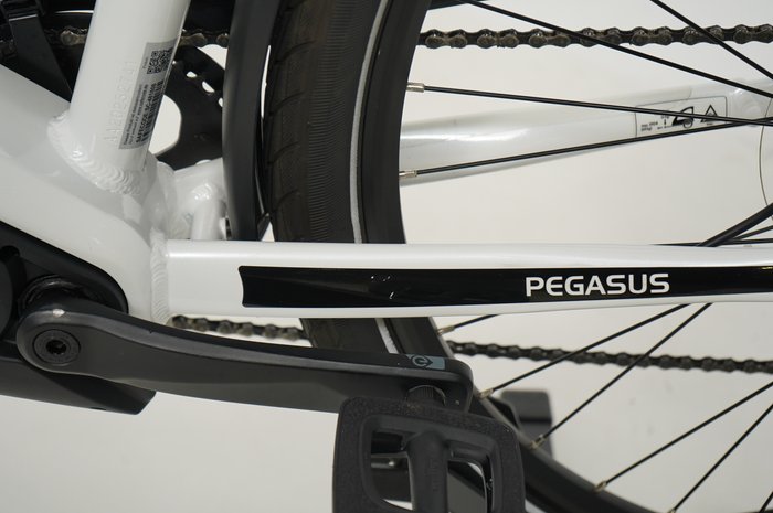 PEGASUS Premio EVO 10 Lite 750