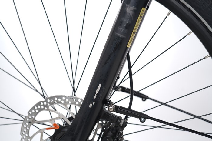 PEGASUS Premio Evo 10 Lite