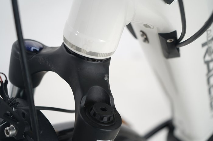 Raleigh Bristol Premium