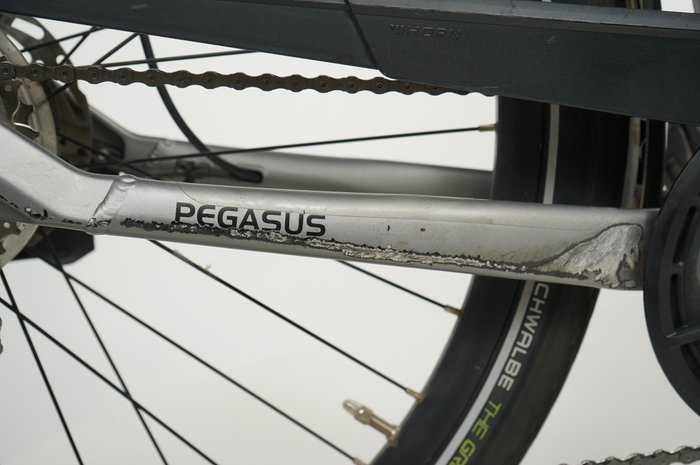 PEGASUS EVO CX 750