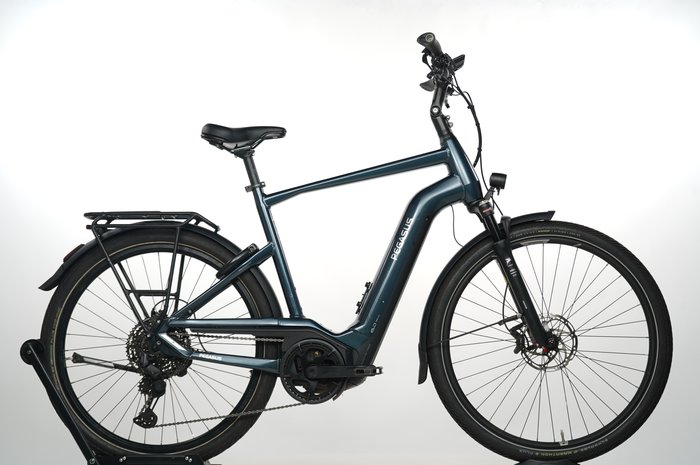 Pegasus Premio EVO 11 40 Years