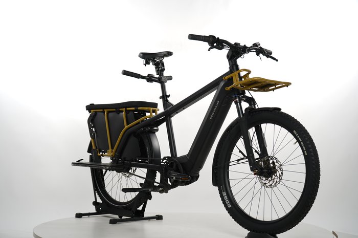 Riese & Müller Multicharger2 GT vario