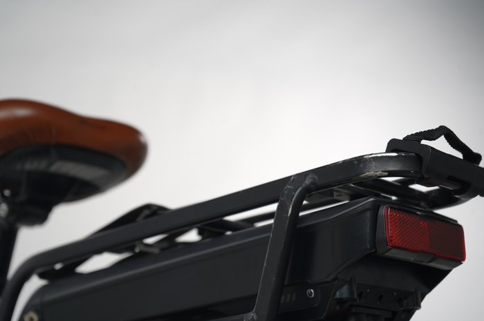 Riese & Müller Swing silent