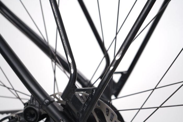 Riese & Müller Roadster vario HS